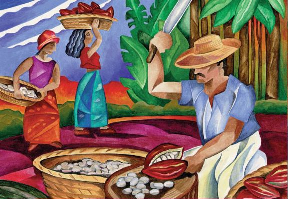 farmers harvesting cacao