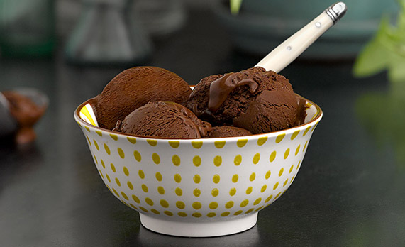 Vegan chocolate sorbet in a bowl